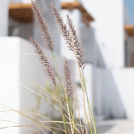 Cosme, A Luxury Collection Resort, Paros Naoussa