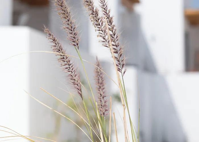 Cosme, A Luxury Collection Resort, Paros נאוסה